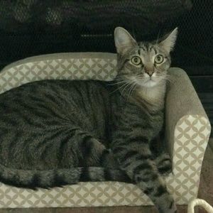 Meet your Posher, Deborah